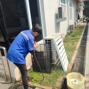 Galeri (8) Galeri (8)